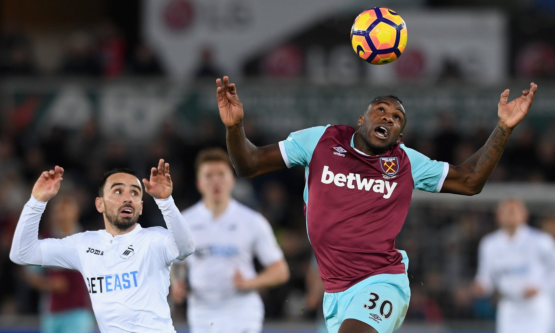 情感的导师 情感的导师