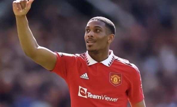 意识和适应 意识和适应